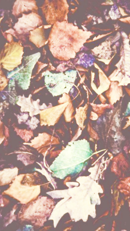 autumn tumblr themes backgrounds autumn   Tumblr