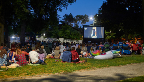Cabbagetown Movie in the Park, at Riverdale Park West. 