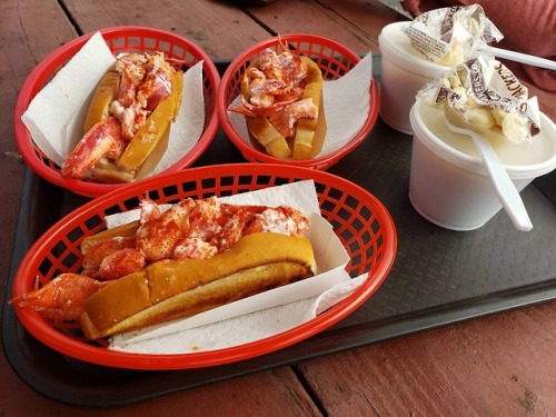 lifejoyaddict:Lobster rolls in Maine