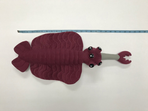 opabinia plush