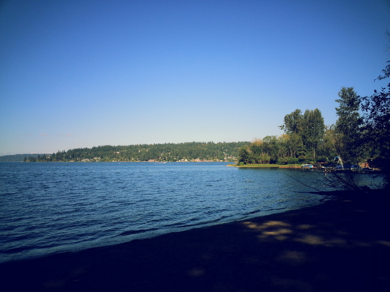 Everything for show. — Timberlake Park, Issaquah, WA