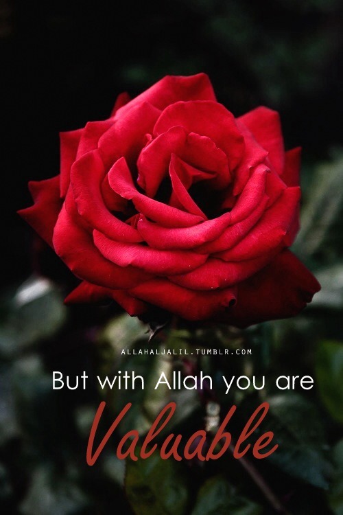 Allahaljalil Islamic Quotes And Reminders Photo