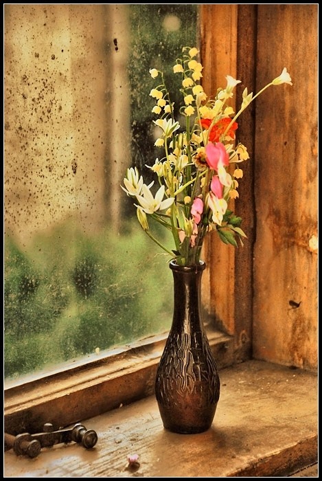 wapiti3:FLORAL STILL LIFES!