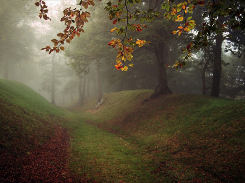 drxgonfly:Autumn Mist (by Kenny Barker)