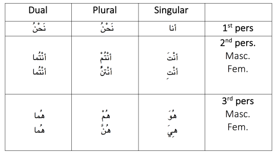 Possession in Arabic – Languages & Shooting Stars 🌠