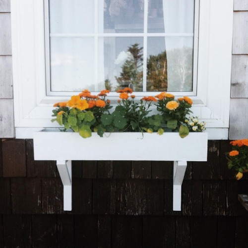 oldfarmhouse:photocredit: eastcoastcottage @i