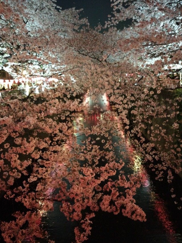 Nakameguro. Tokyo, Japan.