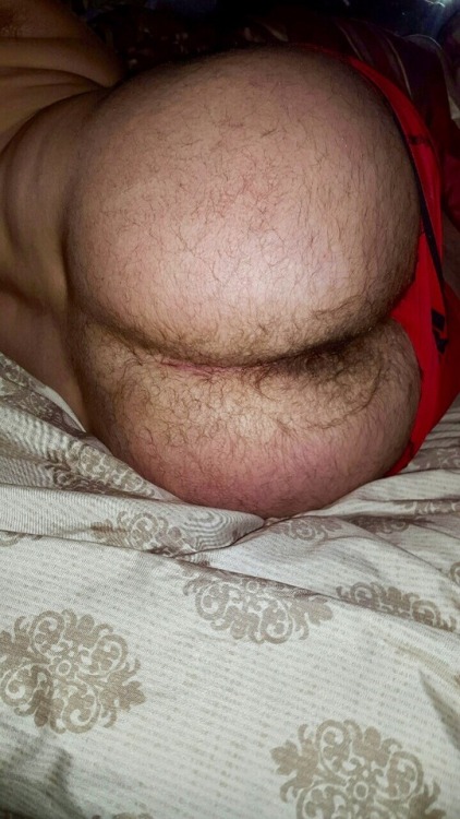 Hairy Holes to Sniff and Lick