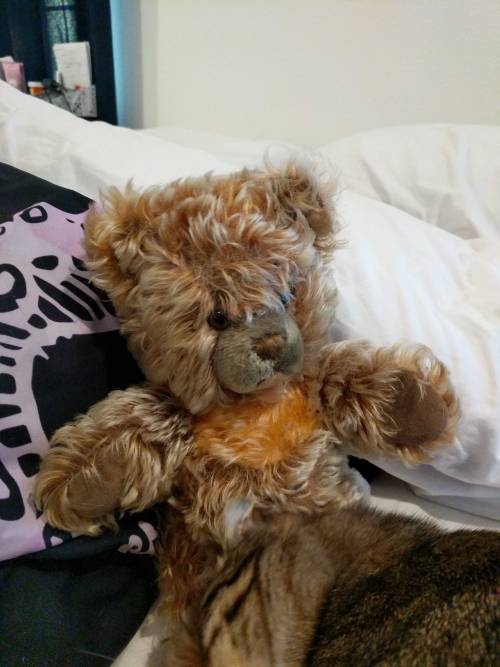 ladyjouster:the1timelady:silverhawk:dare i say that stuffed animals are one of the single...