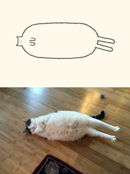 catasters