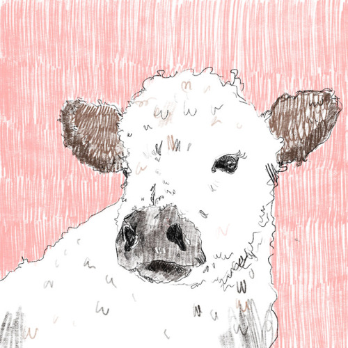 mine art cows cow art