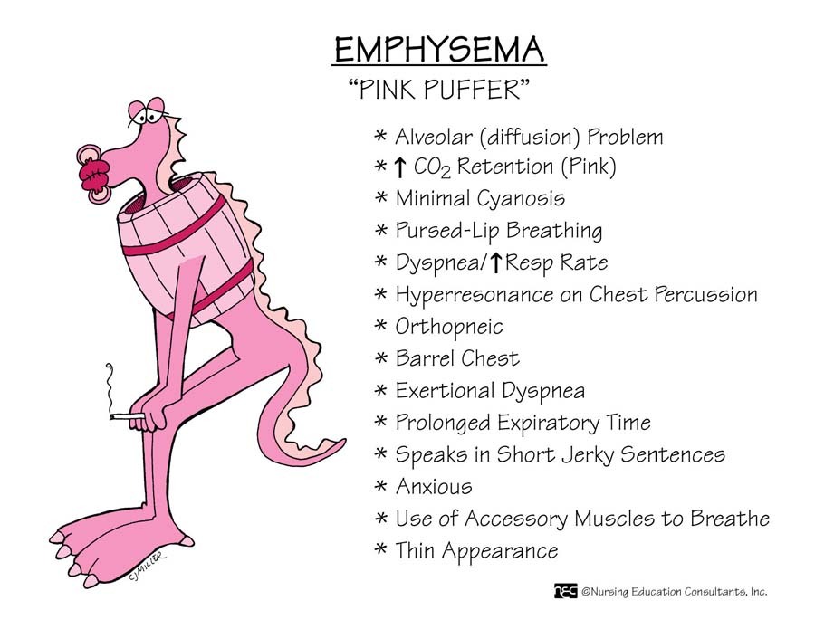 The Wright Nurse And here’s a visual for the “Pink Puffer”...