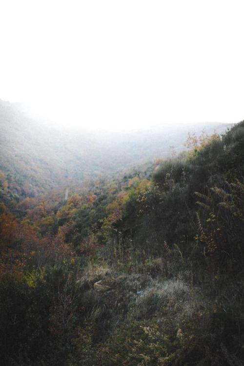 thenatureandthebeauty