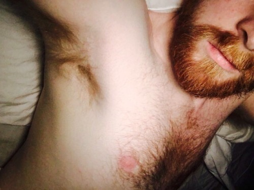 redgingerweakness:SUBMISSION Submit Your Ginger -...