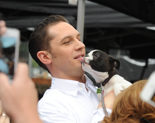 wtfzurtopic:Tom Hardy loves every dog. 