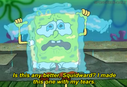 spongebob daily: Photo