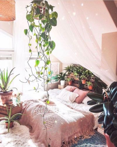 Magical indoor jungle