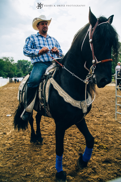 uaocaptures:Rancho Series by @uaocaptures