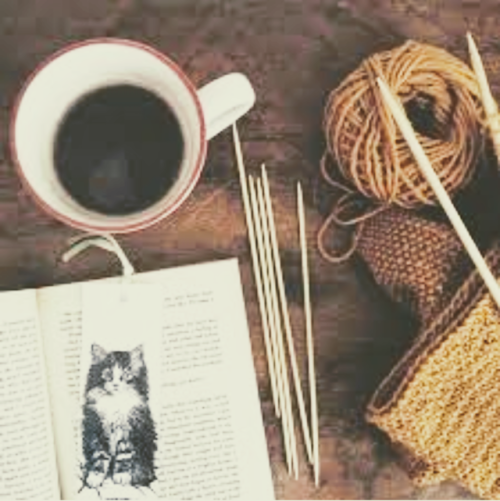 puffedupkicks:Bookworm Hufflepuff + cats aesthetic for...