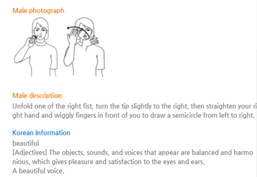 Seventeen Usage Of Korean Sign Language Part 1 Plummeted Into