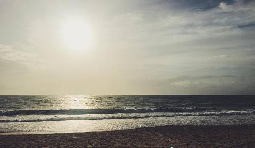 at Praia De Itacimirim. Bahia