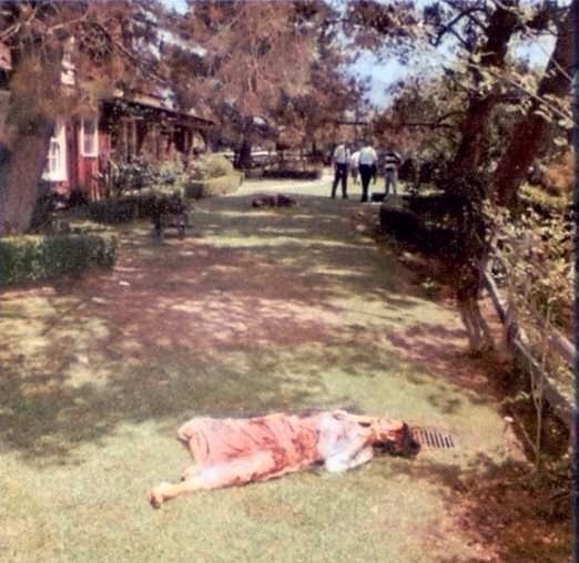 houseofh0rr0rs:
“Abigail Folger, lay dead in the lawn of 10050 Cielo Drive. She was brutally murdered by the Manson Family, along with four others.
”