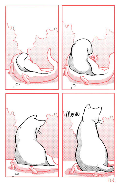 Cat comic I drew for a friend group. :D