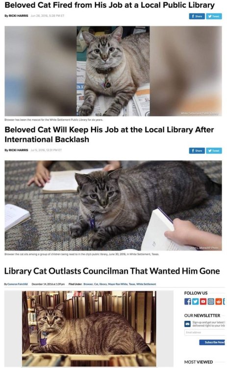 awwsfordays:A trilogy worth enjoying.