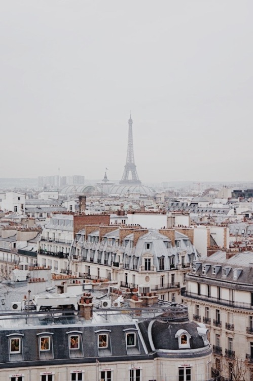 paris skyline on Tumblr