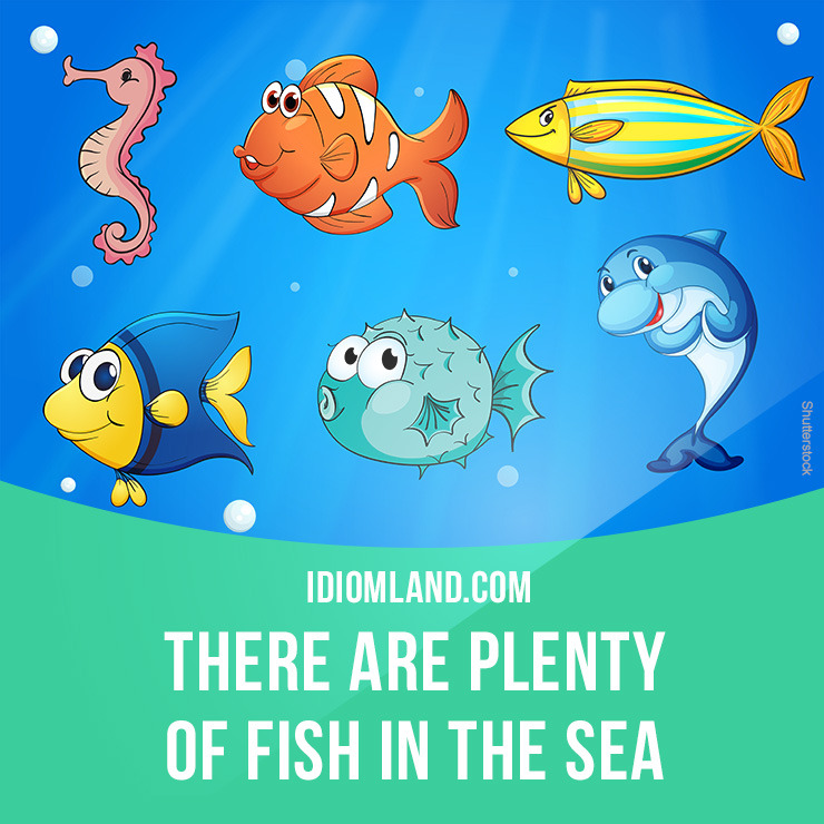 more fish in the sea dating app