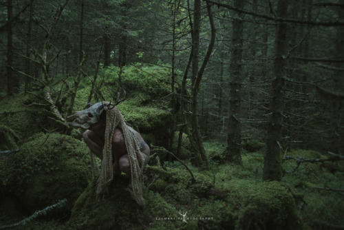 rottedghoul:ysambre-fauntography:Dead nymphs ~ © Ysambre...