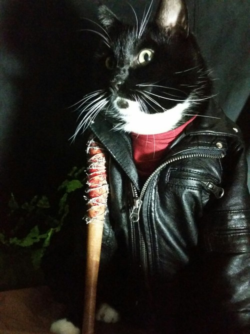 cat-cosplay:“You can breathe. You can blink. You can cry....