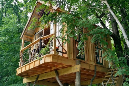 utwo:Whispering Wind Treehouse© airbnb