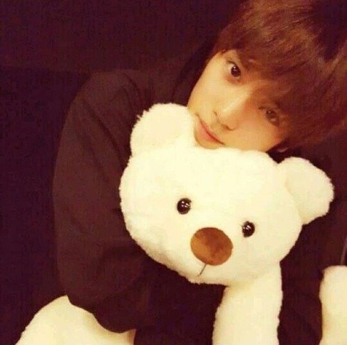 kpop teddy bear