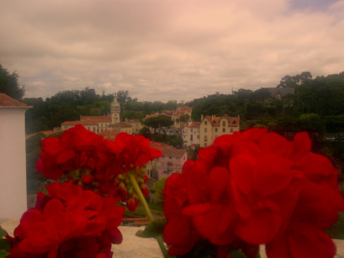 tepitome:Lisbon, Portugal. 2016.