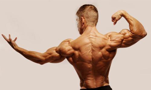 The Big Back Workout