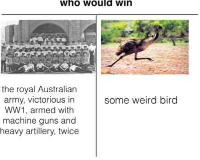 The Great Emu War Tumblr