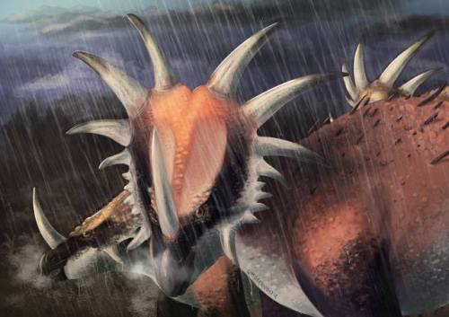 umbreonoctie:Bunch of Styracosaurus under the rain. 