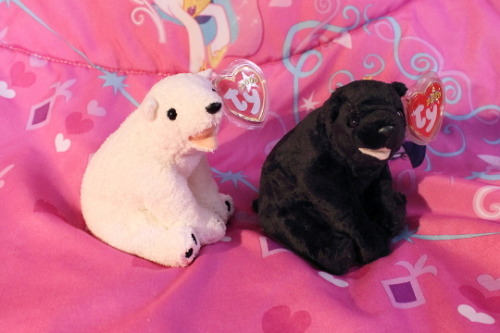 melancholyprince:Aurora the Polar Bear and Cinders the Black...