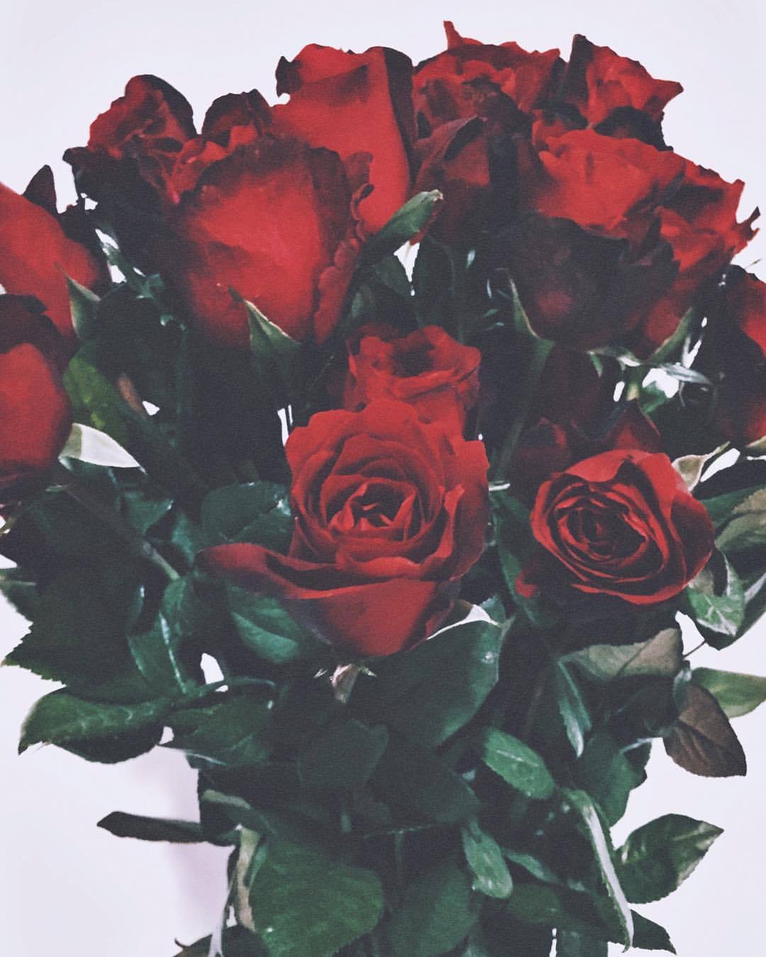 Menakjubkan 24+ Bunga Mawar In Tumblr - Gambar Bunga Indah