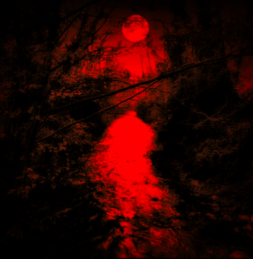 magic-she-wolf