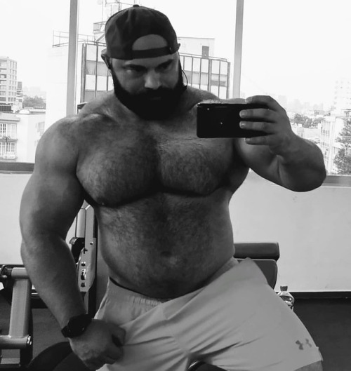 The best hairy muscle bears