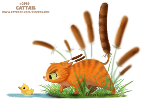 cryptid-creations:Daily Paint 2149. CattailDaily Book and...