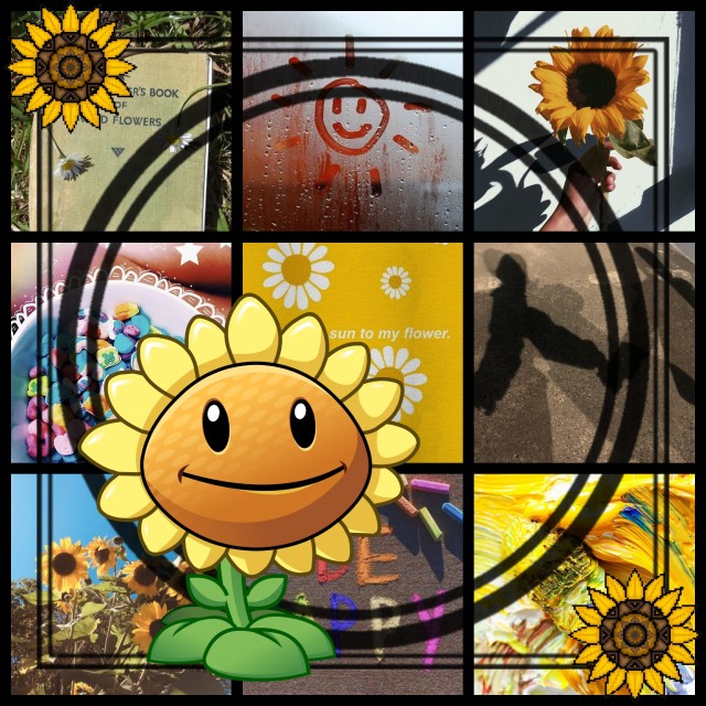 pvz sunflower | Tumblr