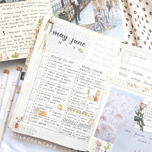 lilacpancakejournal:I have less than two weeks to study for a...