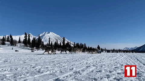 giffinggif