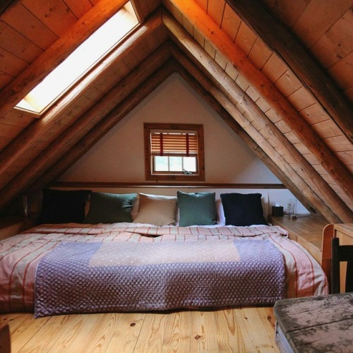 cozy cabin bedtime wood wooden house living bayx log