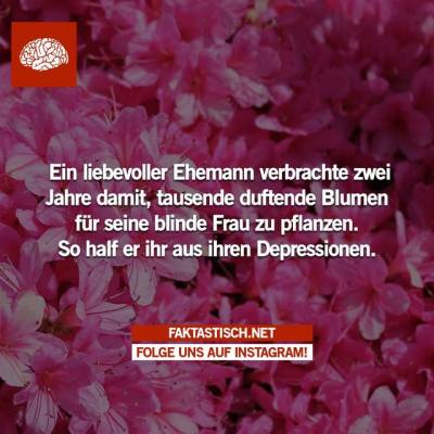 Blumen Tumblr