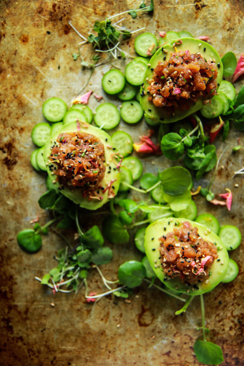 guardians-of-the-food:Spicy Tuna Poke Stuffed Avocados