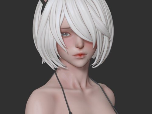 devrabbitxx:2B by 流星丸(Ah Yo)